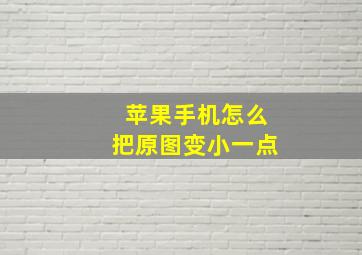 苹果手机怎么把原图变小一点