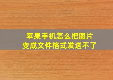 苹果手机怎么把图片变成文件格式发送不了