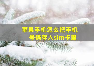 苹果手机怎么把手机号码存入sim卡里