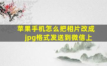 苹果手机怎么把相片改成jpg格式发送到微信上