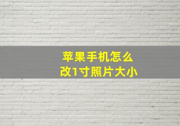 苹果手机怎么改1寸照片大小