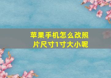 苹果手机怎么改照片尺寸1寸大小呢