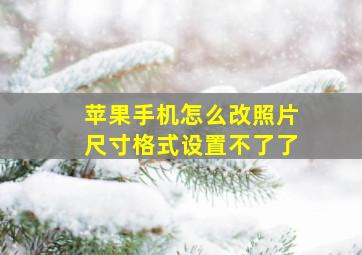 苹果手机怎么改照片尺寸格式设置不了了