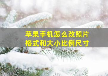 苹果手机怎么改照片格式和大小比例尺寸