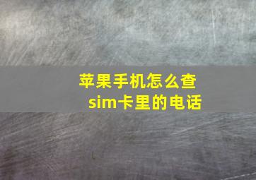 苹果手机怎么查sim卡里的电话