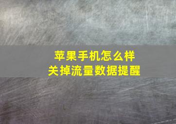 苹果手机怎么样关掉流量数据提醒