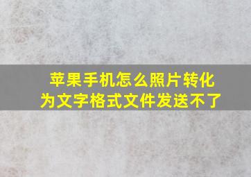 苹果手机怎么照片转化为文字格式文件发送不了