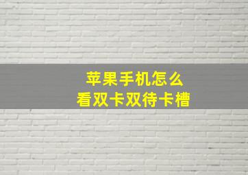 苹果手机怎么看双卡双待卡槽