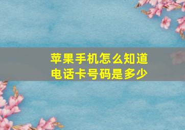 苹果手机怎么知道电话卡号码是多少