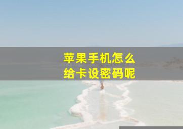 苹果手机怎么给卡设密码呢