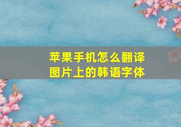 苹果手机怎么翻译图片上的韩语字体