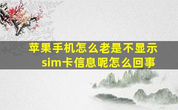 苹果手机怎么老是不显示sim卡信息呢怎么回事