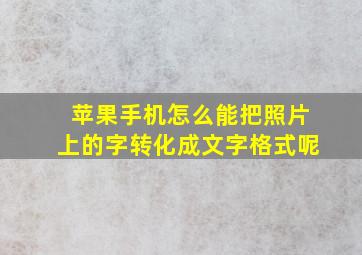 苹果手机怎么能把照片上的字转化成文字格式呢