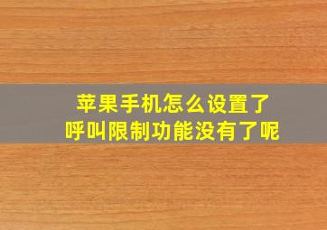 苹果手机怎么设置了呼叫限制功能没有了呢