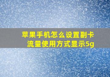 苹果手机怎么设置副卡流量使用方式显示5g