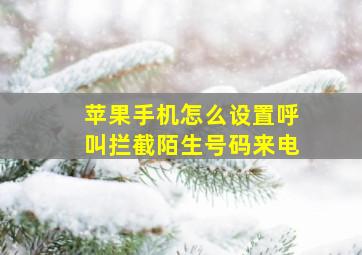 苹果手机怎么设置呼叫拦截陌生号码来电