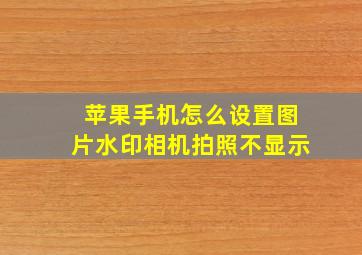 苹果手机怎么设置图片水印相机拍照不显示