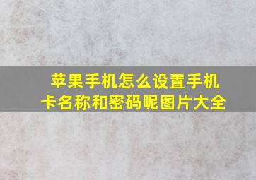 苹果手机怎么设置手机卡名称和密码呢图片大全