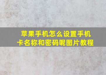 苹果手机怎么设置手机卡名称和密码呢图片教程