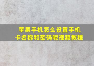 苹果手机怎么设置手机卡名称和密码呢视频教程