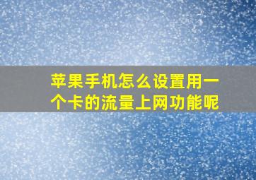 苹果手机怎么设置用一个卡的流量上网功能呢