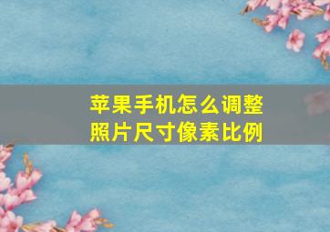 苹果手机怎么调整照片尺寸像素比例