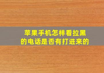 苹果手机怎样看拉黑的电话是否有打进来的