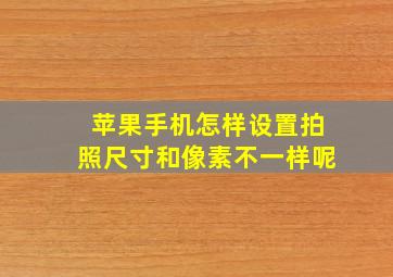 苹果手机怎样设置拍照尺寸和像素不一样呢