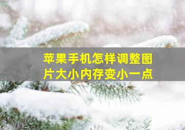 苹果手机怎样调整图片大小内存变小一点