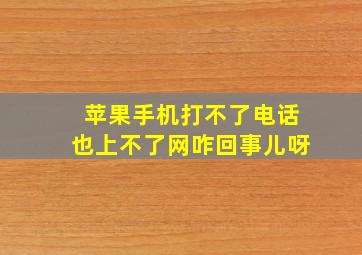 苹果手机打不了电话也上不了网咋回事儿呀