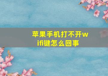 苹果手机打不开wifi键怎么回事