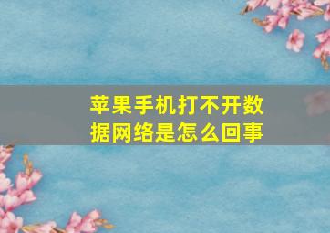 苹果手机打不开数据网络是怎么回事