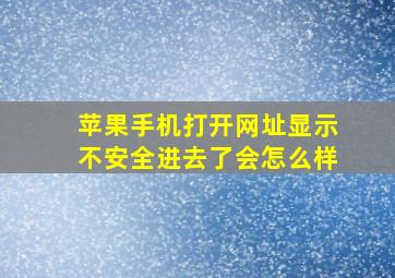 苹果手机打开网址显示不安全进去了会怎么样