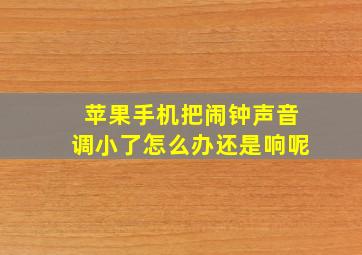 苹果手机把闹钟声音调小了怎么办还是响呢