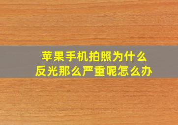 苹果手机拍照为什么反光那么严重呢怎么办