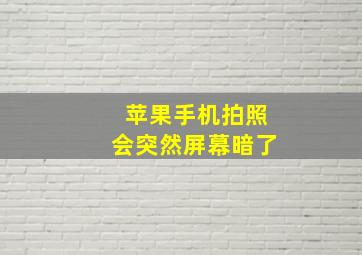 苹果手机拍照会突然屏幕暗了