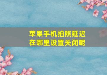 苹果手机拍照延迟在哪里设置关闭呢