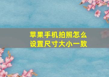 苹果手机拍照怎么设置尺寸大小一致