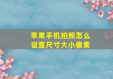 苹果手机拍照怎么设置尺寸大小像素