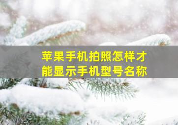 苹果手机拍照怎样才能显示手机型号名称