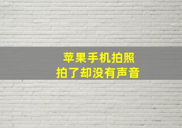 苹果手机拍照拍了却没有声音