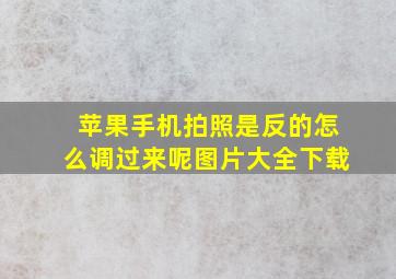 苹果手机拍照是反的怎么调过来呢图片大全下载