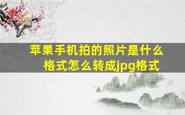 苹果手机拍的照片是什么格式怎么转成jpg格式