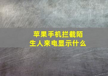 苹果手机拦截陌生人来电显示什么