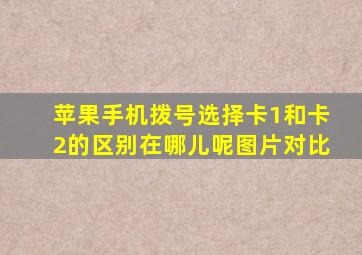 苹果手机拨号选择卡1和卡2的区别在哪儿呢图片对比