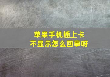 苹果手机插上卡不显示怎么回事呀