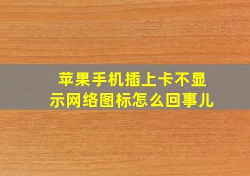 苹果手机插上卡不显示网络图标怎么回事儿