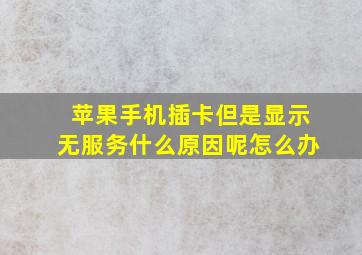 苹果手机插卡但是显示无服务什么原因呢怎么办