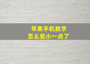 苹果手机数字怎么变小一点了