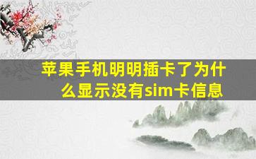 苹果手机明明插卡了为什么显示没有sim卡信息